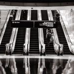 Lessons and pitfalls of transitions to democracy